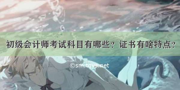 初级会计师考试科目有哪些？证书有啥特点？