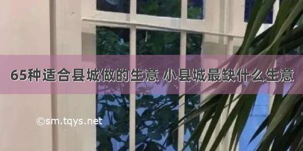 65种适合县城做的生意 小县城最缺什么生意