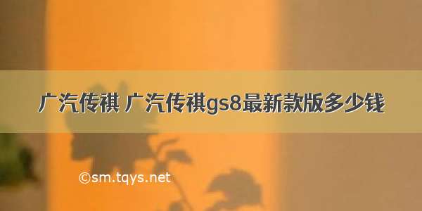 广汽传祺 广汽传祺gs8最新款版多少钱