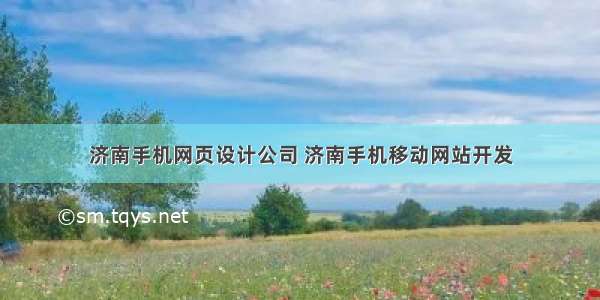 济南手机网页设计公司 济南手机移动网站开发