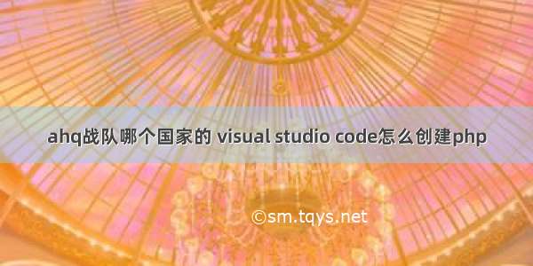 ahq战队哪个国家的 visual studio code怎么创建php