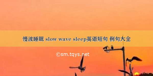 慢波睡眠 slow wave sleep英语短句 例句大全