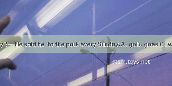 — What did Jim say ?— He said he  to the park every Sunday.A. goB. goes C. went D. will go