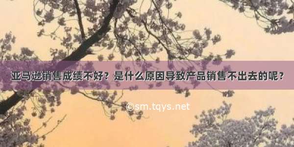 亚马逊销售成绩不好？是什么原因导致产品销售不出去的呢？