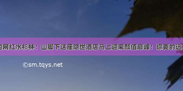 小众却惊艳的网红水杉林！山脚下这座隐世酒店马上迎来颜值巅峰！你要的远方和秋色都在