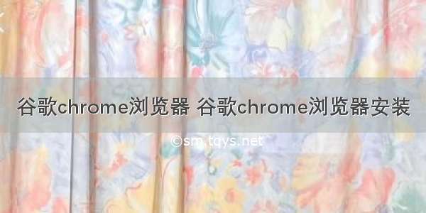 谷歌chrome浏览器 谷歌chrome浏览器安装