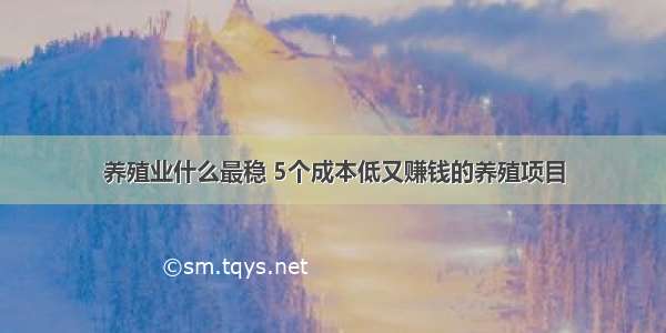 养殖业什么最稳 5个成本低又赚钱的养殖项目