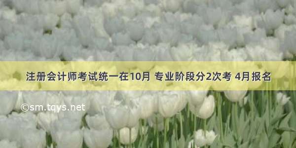 注册会计师考试统一在10月 专业阶段分2次考 4月报名