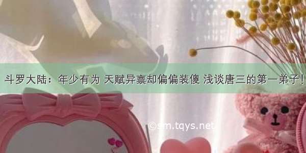 斗罗大陆：年少有为 天赋异禀却偏偏装傻 浅谈唐三的第一弟子！