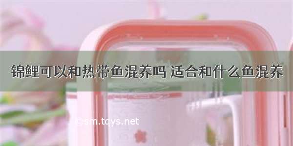 锦鲤可以和热带鱼混养吗 适合和什么鱼混养