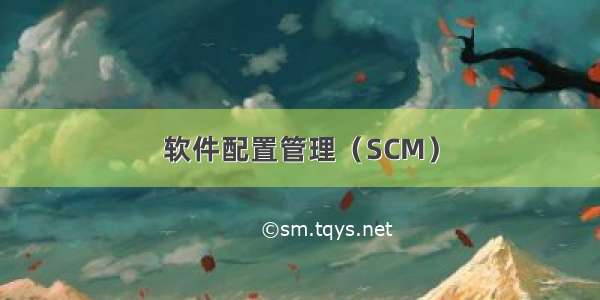 软件配置管理（SCM）