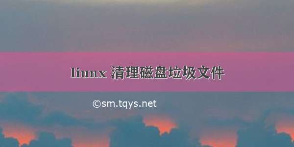 liunx 清理磁盘垃圾文件