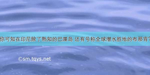 你可知在印尼除了熟知的巴厘岛 还有号称全球潜水胜地的布那肯？