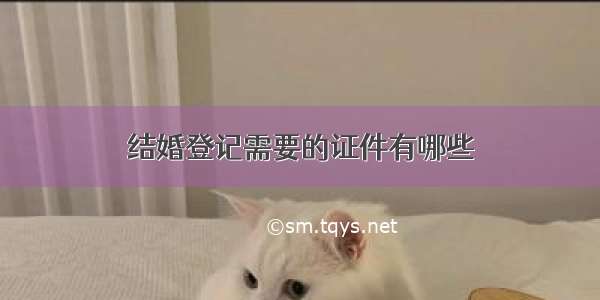 结婚登记需要的证件有哪些