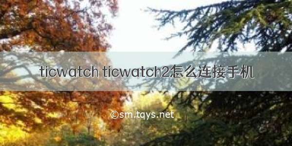 ticwatch ticwatch2怎么连接手机
