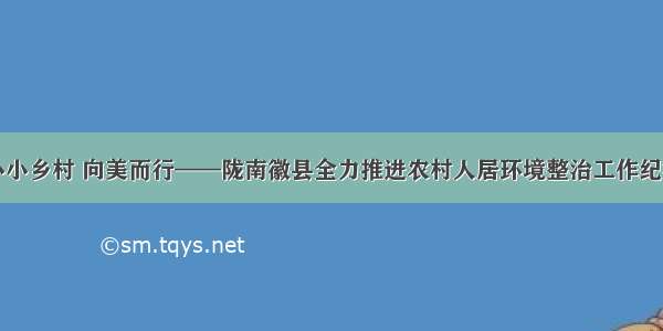 小小乡村 向美而行——陇南徽县全力推进农村人居环境整治工作纪实