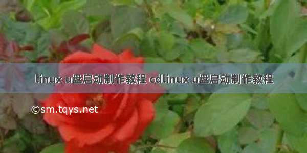 linux u盘启动制作教程 cdlinux u盘启动制作教程