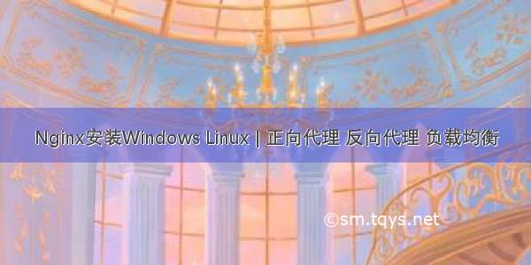 Nginx安装Windows Linux | 正向代理 反向代理 负载均衡