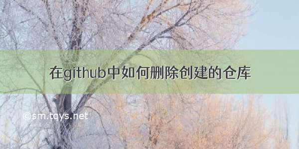 在github中如何删除创建的仓库