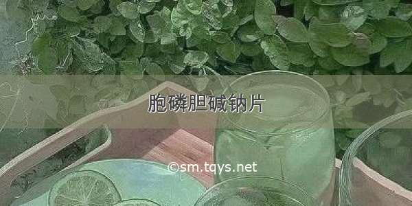 胞磷胆碱钠片