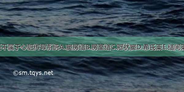 下列哪项不属于心脏传导系统A.窦房结B.房室结C.冠状窦D.希氏束E.结间束ABCDE