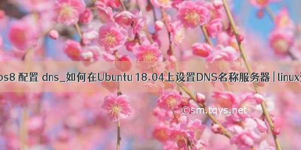 centos8 配置 dns_如何在Ubuntu 18.04上设置DNS名称服务器 | linux资讯