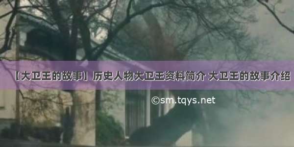 【大卫王的故事】历史人物大卫王资料简介 大卫王的故事介绍