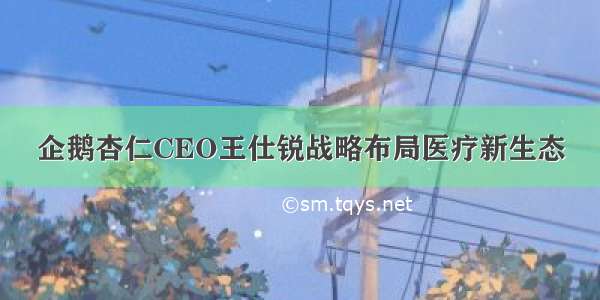 企鹅杏仁CEO王仕锐战略布局医疗新生态