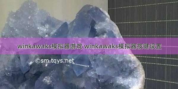 winkawaks模拟器游戏 winkawaks模拟器按键设置