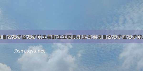 单选题青海湖自然保护区保护的主要野生生物类群是青海湖自然保护区保护的主要野生生物