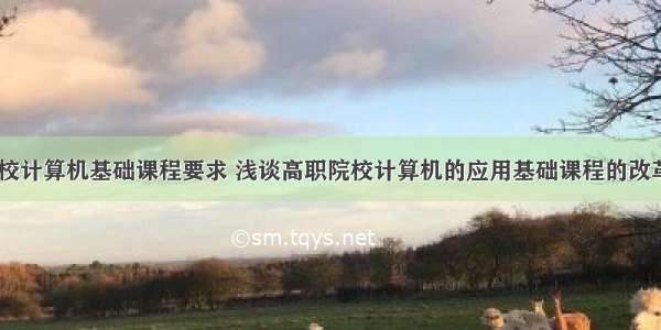 高职院校计算机基础课程要求 浅谈高职院校计算机的应用基础课程的改革.doc...