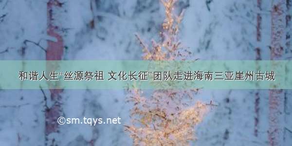 和谐人生“丝源祭祖 文化长征”团队走进海南三亚崖州古城