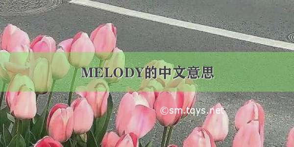 MELODY的中文意思
