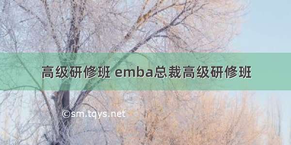 高级研修班 emba总裁高级研修班