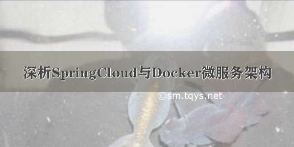深析SpringCloud与Docker微服务架构