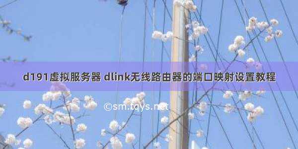 d191虚拟服务器 dlink无线路由器的端口映射设置教程