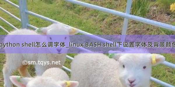 python shell怎么调字体_linux BASH shell下设置字体及背景颜色