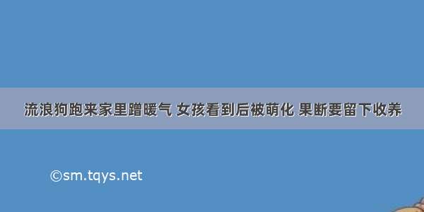 流浪狗跑来家里蹭暖气 女孩看到后被萌化 果断要留下收养