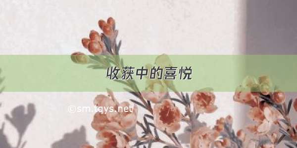 收获中的喜悦