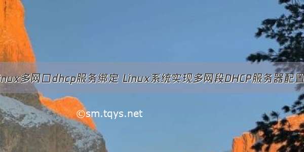 linux多网口dhcp服务绑定 Linux系统实现多网段DHCP服务器配置