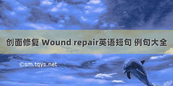 创面修复 Wound repair英语短句 例句大全