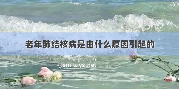 老年肺结核病是由什么原因引起的