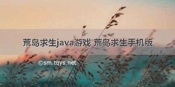 荒岛求生java游戏 荒岛求生手机版