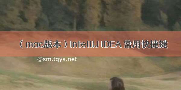 （mac版本）IntelliJ IDEA 常用快捷键