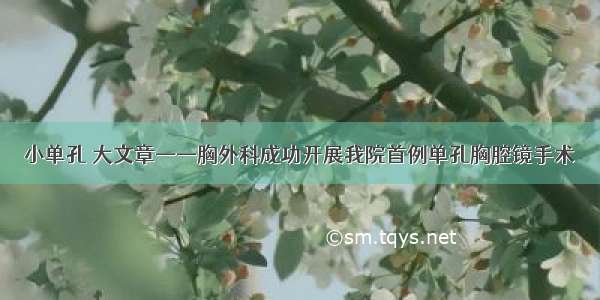 小单孔 大文章——胸外科成功开展我院首例单孔胸腔镜手术