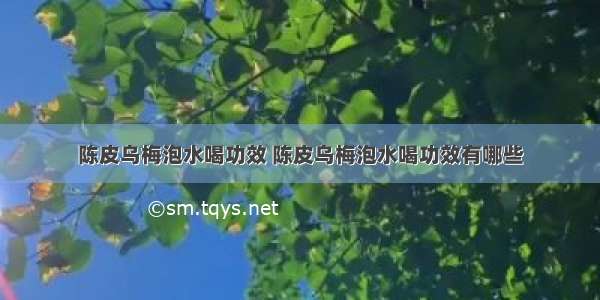 陈皮乌梅泡水喝功效 陈皮乌梅泡水喝功效有哪些