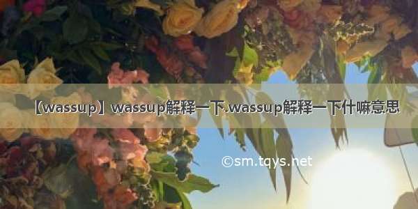 【wassup】wassup解释一下.wassup解释一下什嘛意思