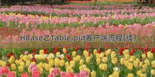 HBase之Table.put客户端流程(续)