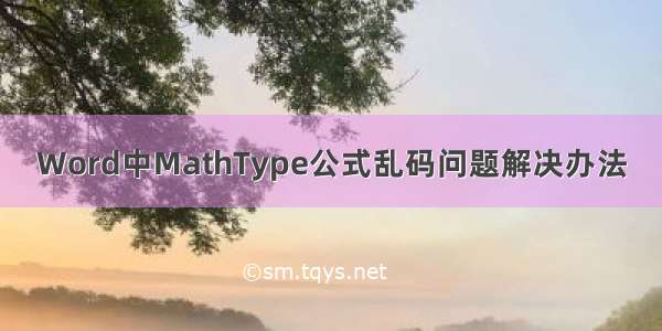 Word中MathType公式乱码问题解决办法