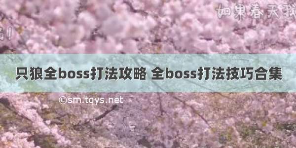 只狼全boss打法攻略 全boss打法技巧合集